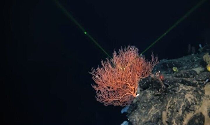 Titanik'ten büyük bir hazine çıktı: İşte gizemli dalgaların sırrı... 3