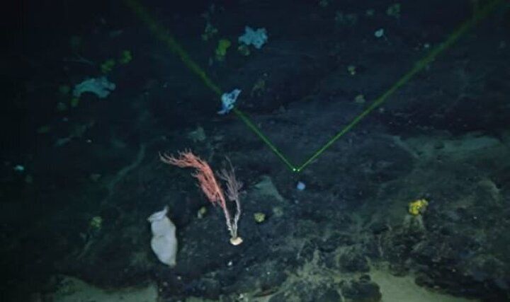 Titanik'ten büyük bir hazine çıktı: İşte gizemli dalgaların sırrı... 5