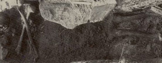 200 yıl önce yaşamış bir vampirin görüntüsü ortaya çıktı! Kemiklerindeki ayrıntı herkesi şaşırttı 5