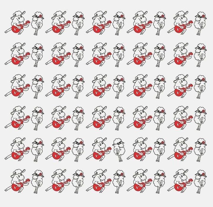 Halının üzerindeki telefon nerede? Sosyal medyada viral oldu: Kimse çözemiyor, çözen rekor kırıyor! 12