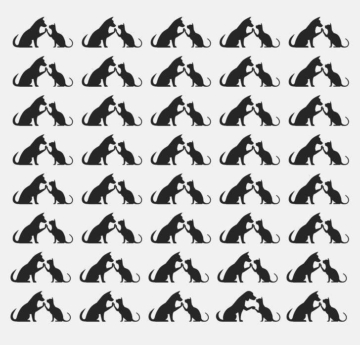 Halının üzerindeki telefon nerede? Sosyal medyada viral oldu: Kimse çözemiyor, çözen rekor kırıyor! 13