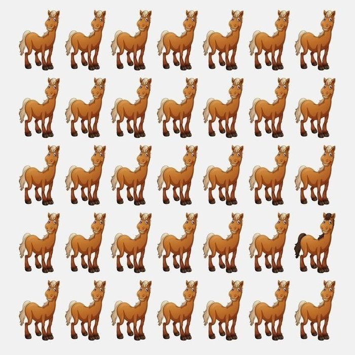 Halının üzerindeki telefon nerede? Sosyal medyada viral oldu: Kimse çözemiyor, çözen rekor kırıyor! 14