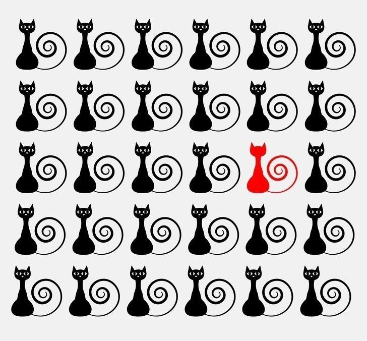 Halının üzerindeki telefon nerede? Sosyal medyada viral oldu: Kimse çözemiyor, çözen rekor kırıyor! 21