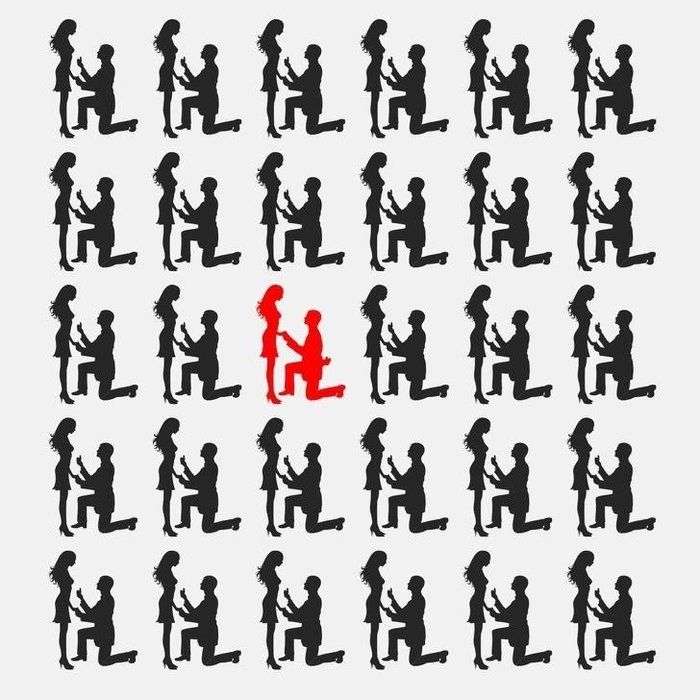 Halının üzerindeki telefon nerede? Sosyal medyada viral oldu: Kimse çözemiyor, çözen rekor kırıyor! 24