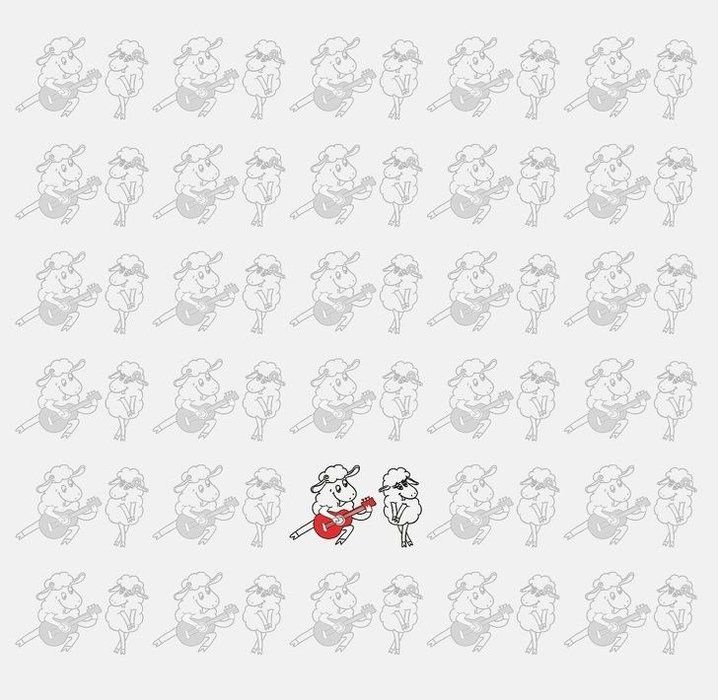 Halının üzerindeki telefon nerede? Sosyal medyada viral oldu: Kimse çözemiyor, çözen rekor kırıyor! 27