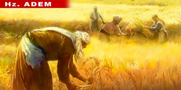 Duyunca çok şaşıracaksınız! Peygamberler ne iş yapıyordu? 1