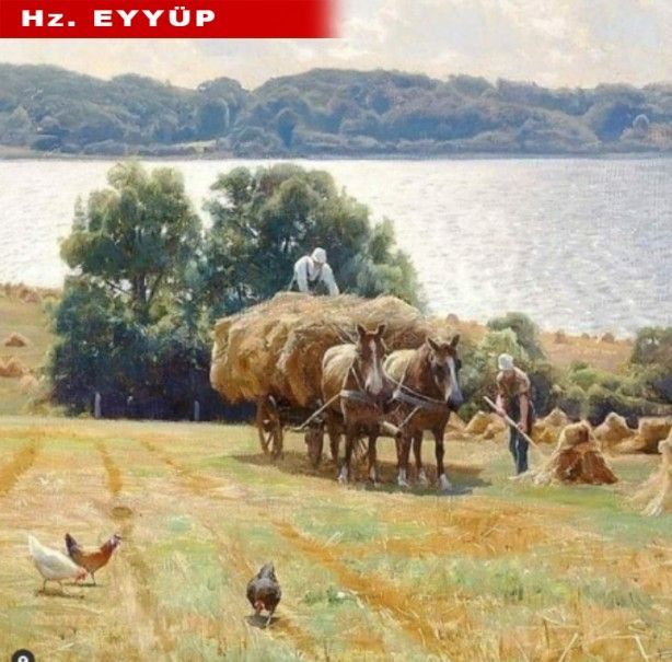 Duyunca çok şaşıracaksınız! Peygamberler ne iş yapıyordu? 12