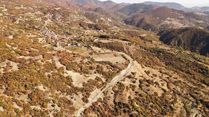 Tesadüfen fark edildi! Kendi kendine yetişiyor: Herkes para kazanmak için oraya gidiyor... 8