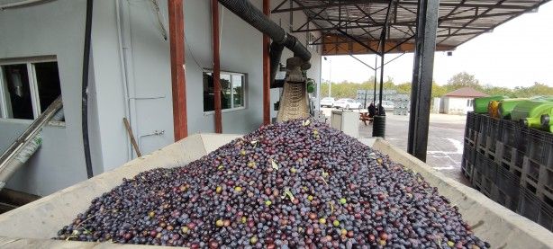 Dört bir yandan talep var! Fabrikalarda ışıklar sönmüyor 8