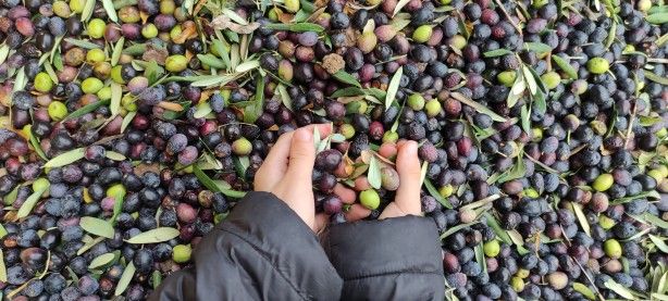Dört bir yandan talep var! Fabrikalarda ışıklar sönmüyor 3