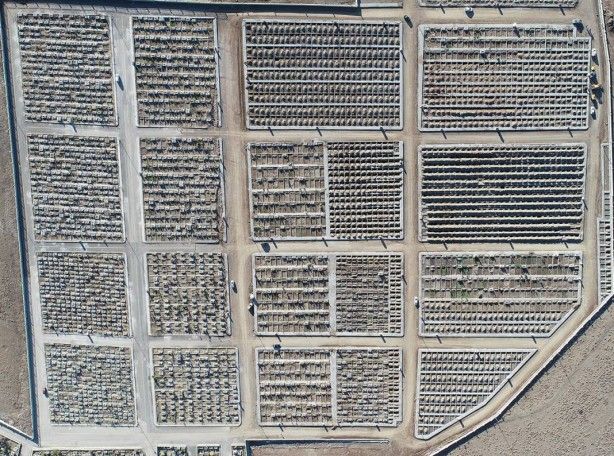 Erzurum'da yüzlerce mezar kazıldı! Sebebi ise... 4