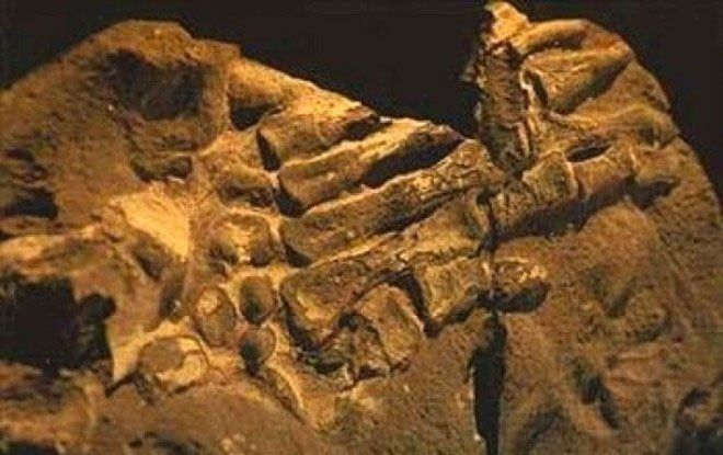 Dünya bu fotoğrafı konuşuyor! 80 yıl önce çekilen bu kareye kimse açıklama yapamıyor 44