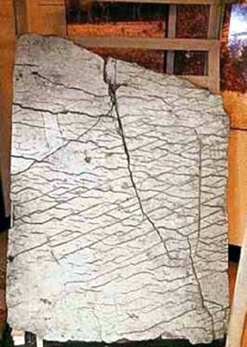 Dünya bu fotoğrafı konuşuyor! 80 yıl önce çekilen bu kareye kimse açıklama yapamıyor 45