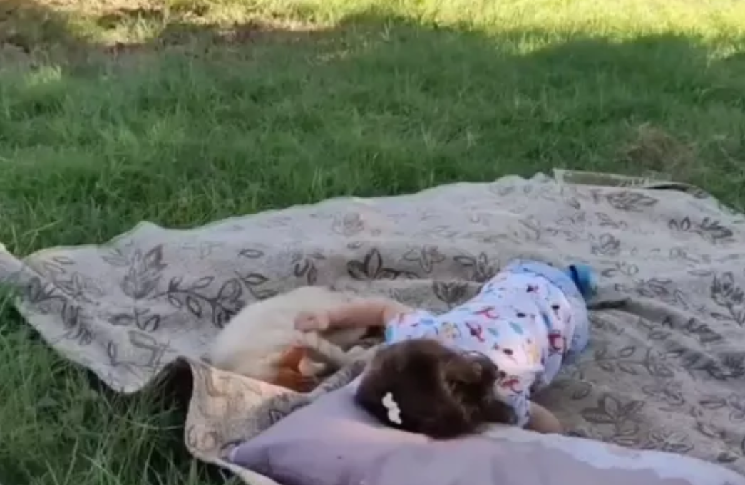 Alçak saldırı bir aileyi yok etti... 2 yaşındaki Eliz ailesiz kaldı 2