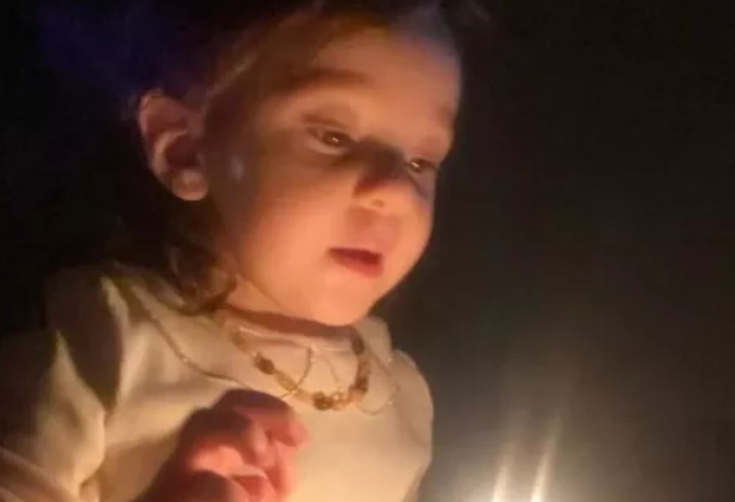 Alçak saldırı bir aileyi yok etti... 2 yaşındaki Eliz ailesiz kaldı 3