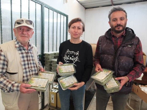 Balıkesir'de üretildi! Almanya ve Hollanda’dan sonra ABD, Türkiye'den istemeye başladı 1