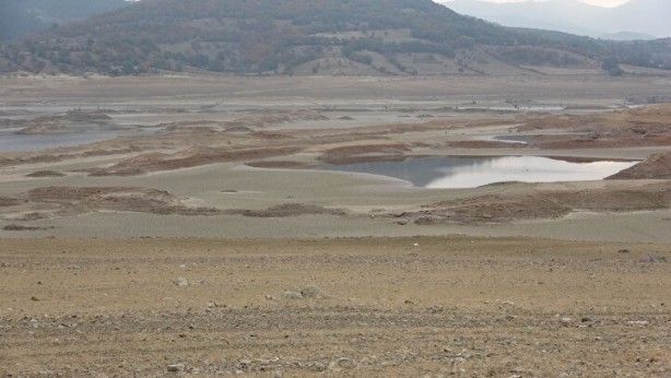 Türkiye’de giderek yayılıyor! Çanakkale'de endişelendiren görüntü 10