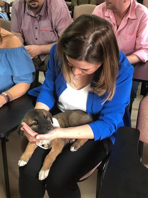 İnsanoğlu, hayvanlara karşı insaflı, şefkatli ve merhametli olmakla mükelleftir 2