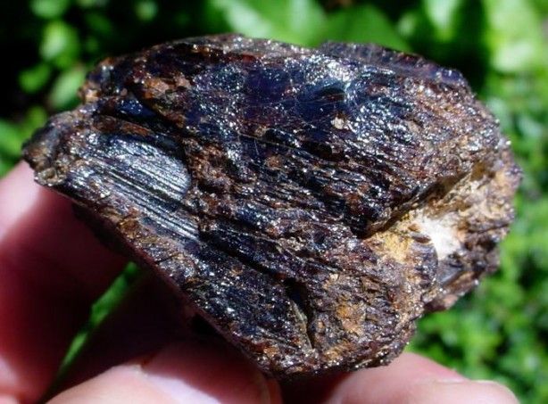 1 gramı bile servet değerinde... Bulanın sırtı yere gelmiyor 2