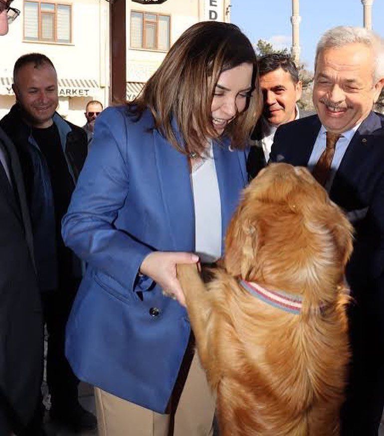 İnsanoğlu, hayvanlara karşı insaflı, şefkatli ve merhametli olmakla mükelleftir 3