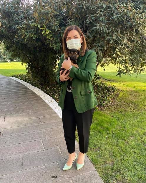 İnsanoğlu, hayvanlara karşı insaflı, şefkatli ve merhametli olmakla mükelleftir 5