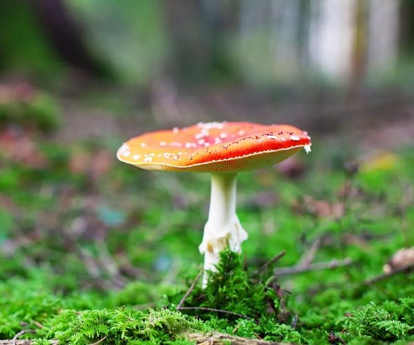 Aman dikkat, vakalar arttı! Sağlıklı diye yerken hastanelik olmayın 8