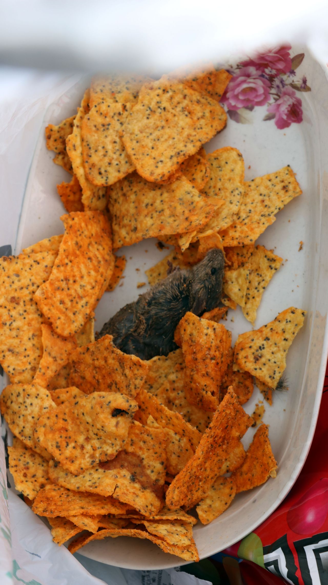 İğrenç olay! Cips paketinden fare ölüsü çıktı 2