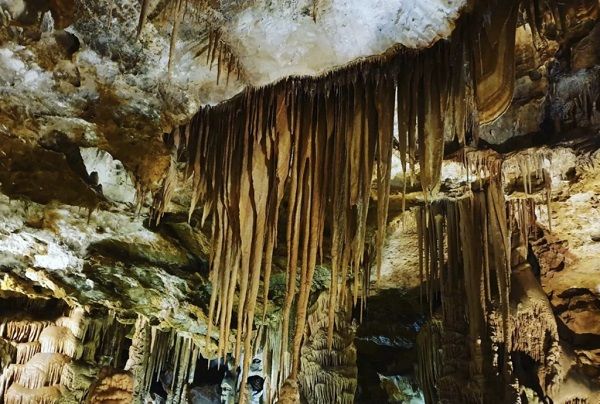 Her yıl binlerce kişi ziyaret ediyor! Bu saray 150 milyon yılda oluştu 10