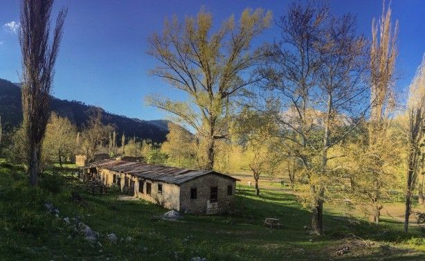 Türkiye'nin en korkutucu köyü! Cinler bastı, herkes kaçtı 5