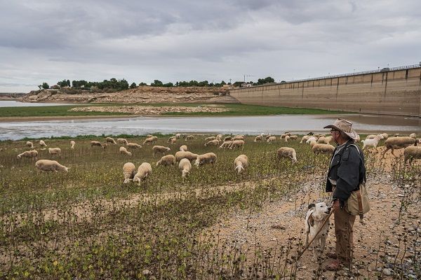 Avrupa kuraklıkla boğuşuyor! Hidroelektrik santralinin kapısına kilit vuruldu 5