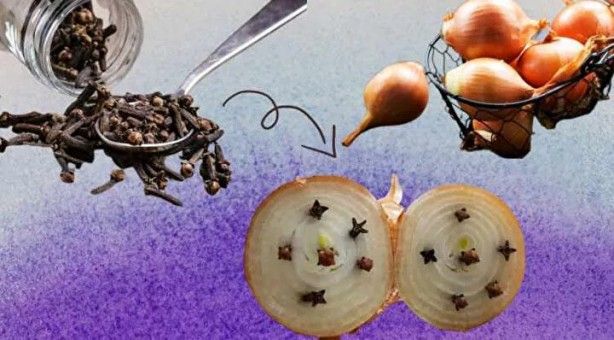 Uyumadan önce soğanı yatağınızı başına koyun! Sabah olacakları görün 6