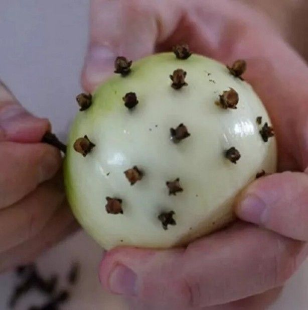 Uyumadan önce soğanı yatağınızı başına koyun! Sabah olacakları görün 8