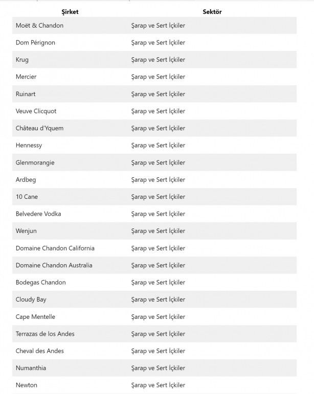 Elon Musk ve Jeff Bezoss'u bile geçti! Dünyanın en zengin insanı bakın hangi işleri yapıyor... 9