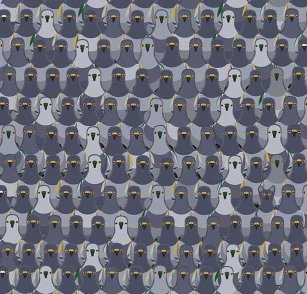 Süper Mario aşağıya mı yoksa yukarıya mı koşuyor? Sosyal medyayı karıştırdı 7