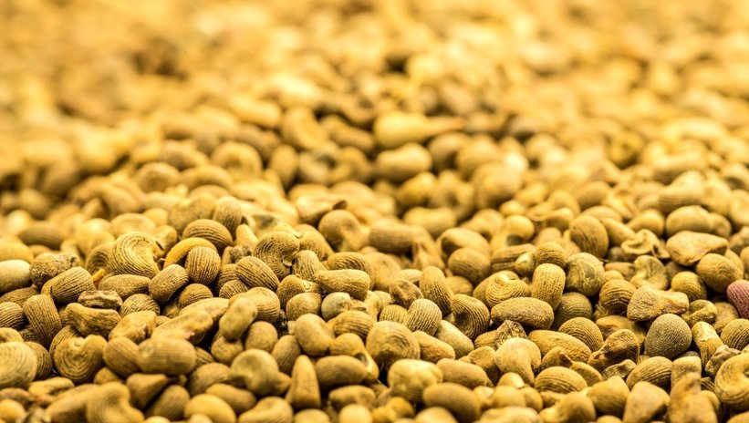 Vücuttaki halsizliği anında alıyor! Sabahları dinç uyananların sırrı bu besin 1