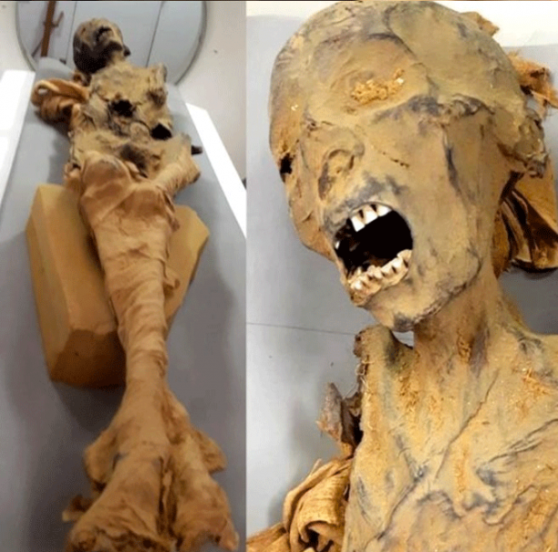 Çığlık atan mumya olarak biliniyordu! 3 bin yıllık gizem nihayet çözüldü 12