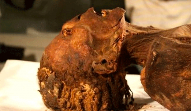 Çığlık atan mumya olarak biliniyordu! 3 bin yıllık gizem nihayet çözüldü 10