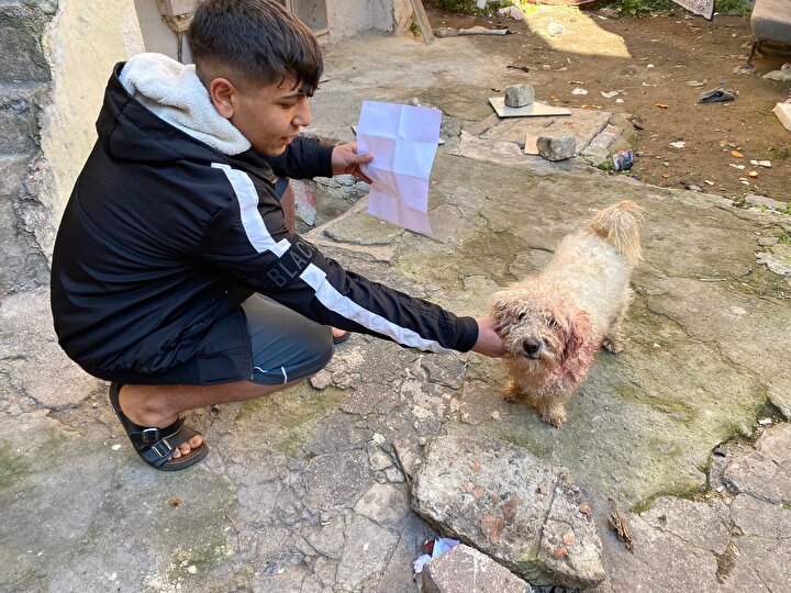 Fatih'te mahalleyi karıştıran olay: Polat Alemdar'ı bıçakladılar! 4