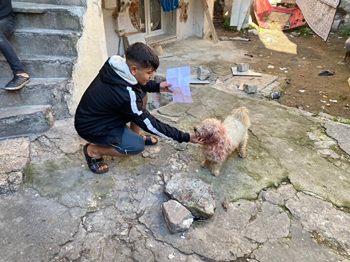 Fatih'te mahalleyi karıştıran olay: Polat Alemdar'ı bıçakladılar! 7