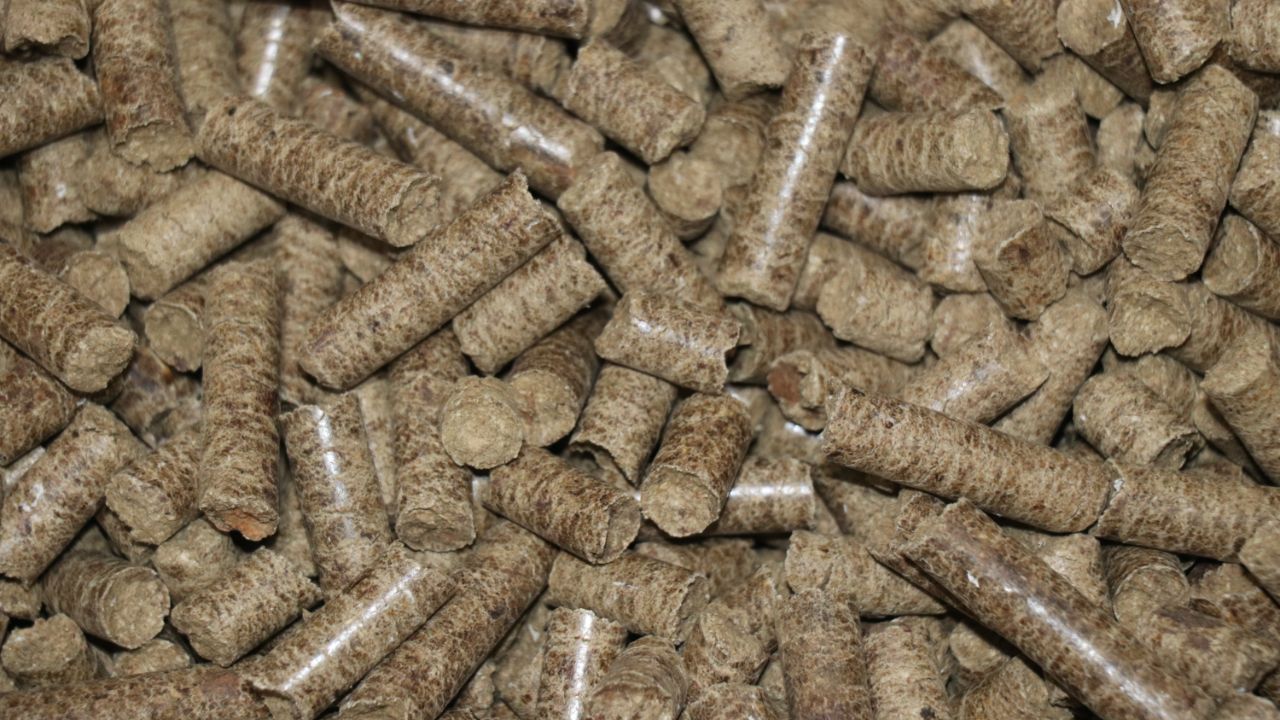 Devlet desteğiyle bu işe başladı... Talep yağıyor 9