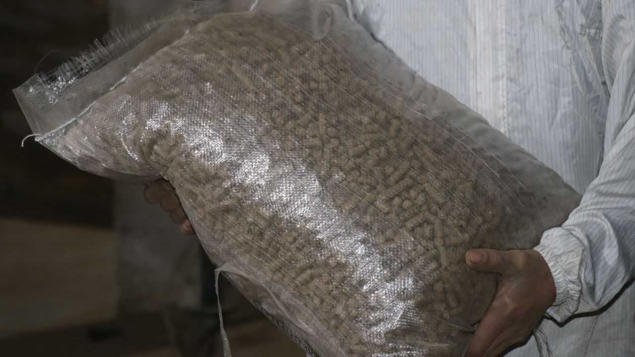 Devlet desteğiyle bu işe başladı... Talep yağıyor 3