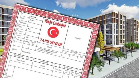 Aman buna çok dikkat edin: Tapu'da yeni dönem! Yenilemeyen yanar 1