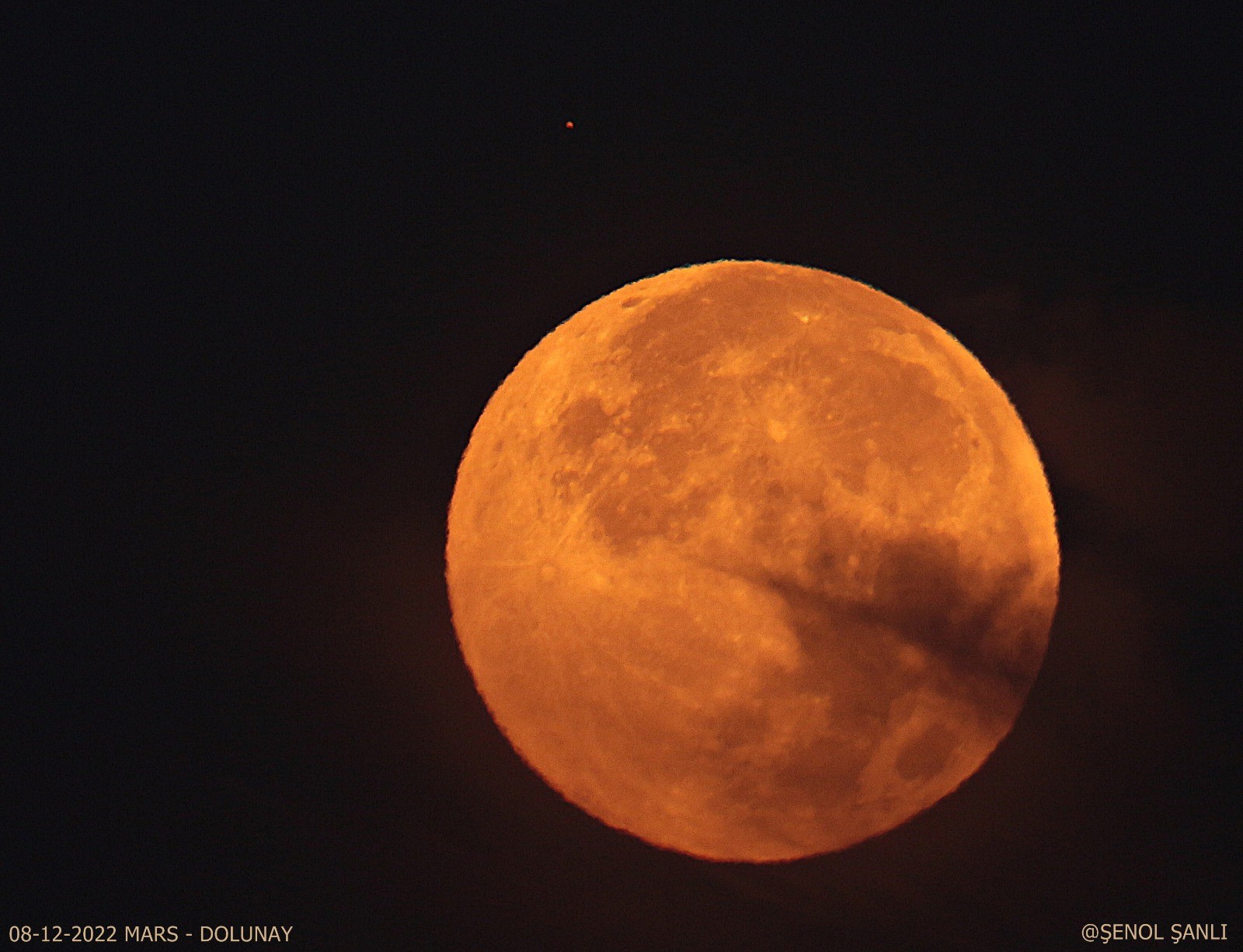 Tanesini 10 bin liradan yapıyor! Emekli vatandaştan müthiş icat 12