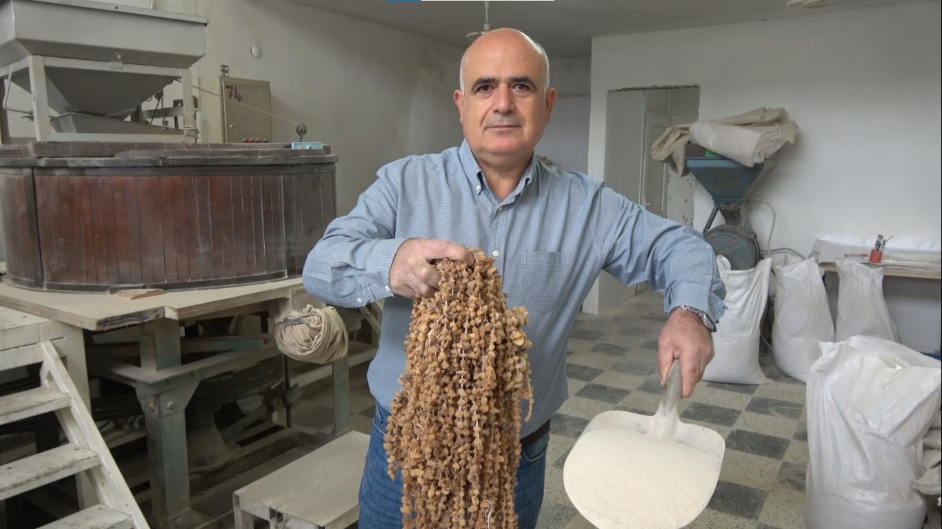 Doğada çok zor bulunuyor, kilosu 3 bin liradan satılıyor 7