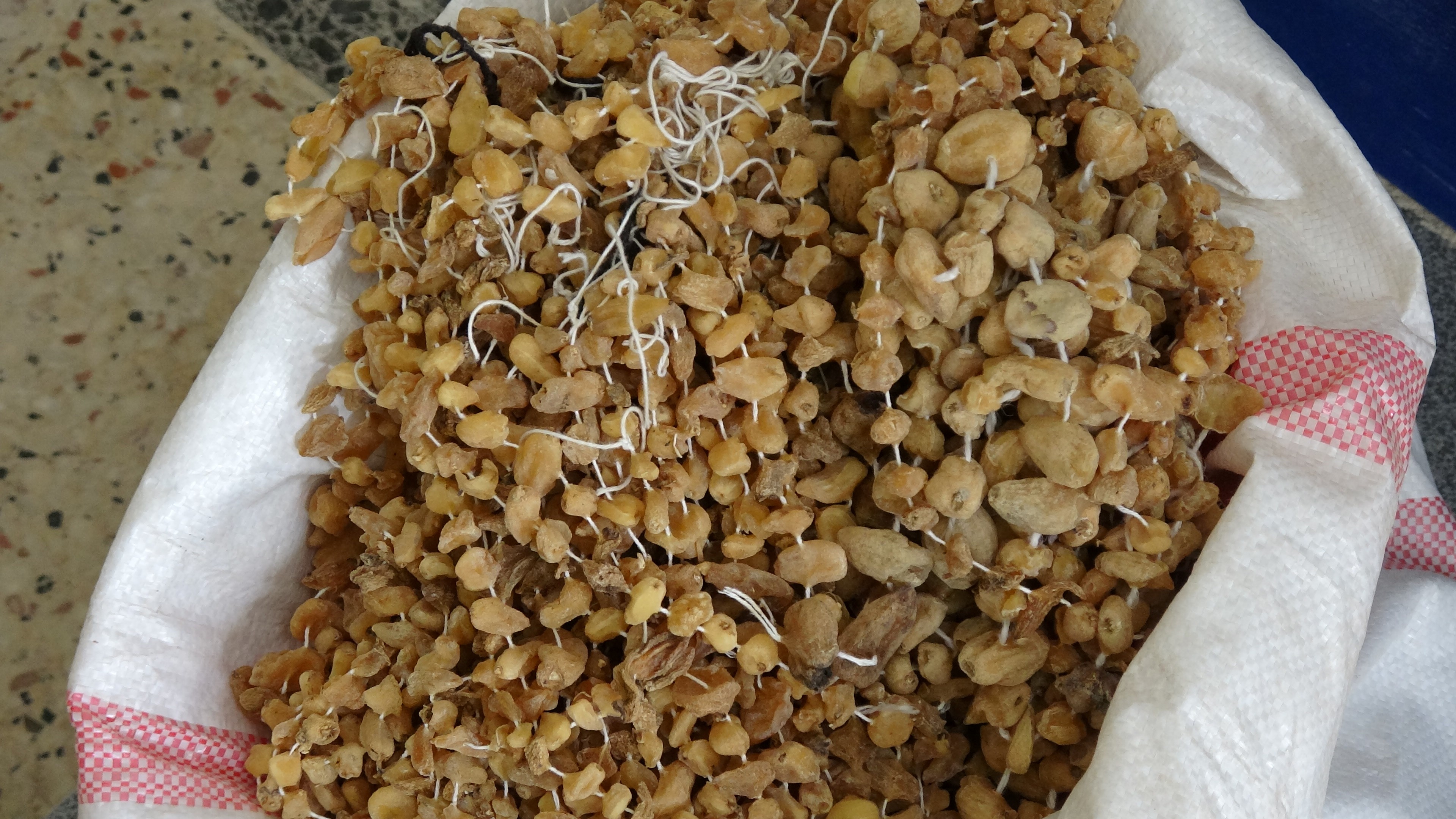 Doğada çok zor bulunuyor, kilosu 3 bin liradan satılıyor 3