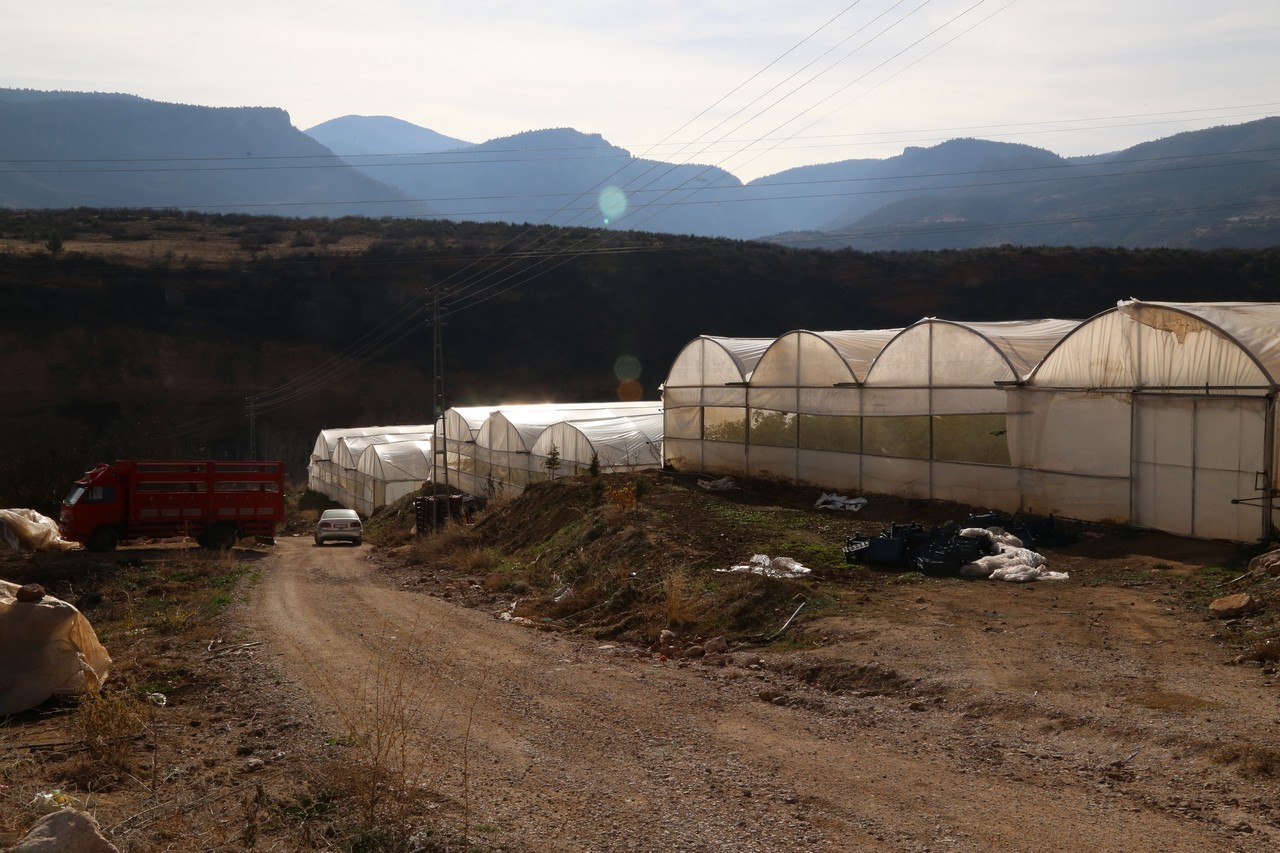Şehirden köyüne döndü, şimdi ihracata hazırlanıyor 2