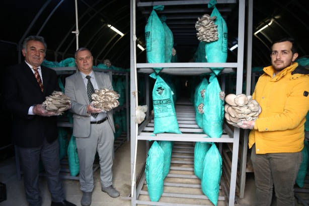 Buradan araba geçmiyor Tünelin içindekileri görünce şaşkına döneceksiniz 7