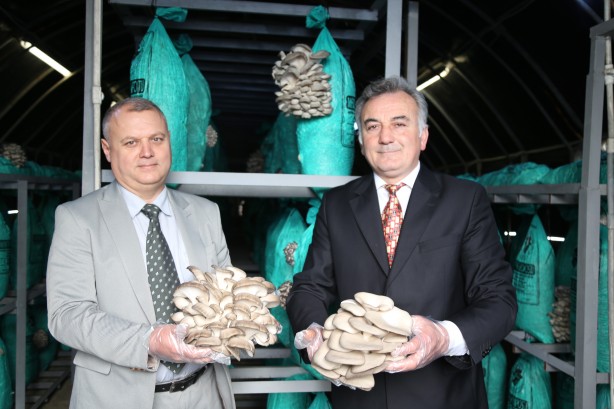 Buradan araba geçmiyor Tünelin içindekileri görünce şaşkına döneceksiniz 4