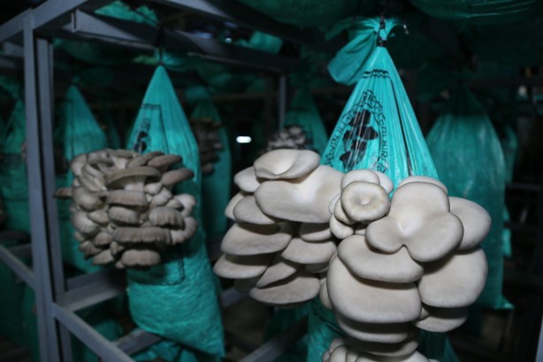 Buradan araba geçmiyor Tünelin içindekileri görünce şaşkına döneceksiniz 6