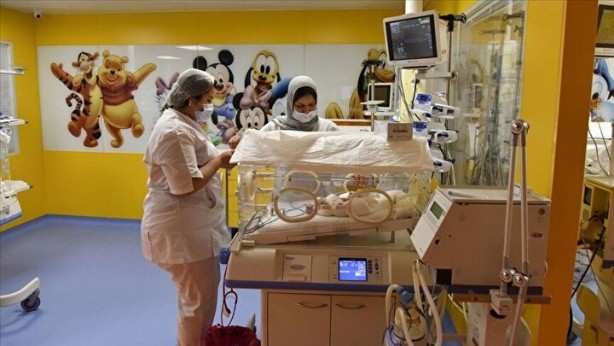 Dünyanın tek dokuzları: Herkes bebekleri görmek için akın ediyor 5